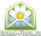 Логотип компании Доставка цветов Гранд Флора (ф-л г.Бузулук)